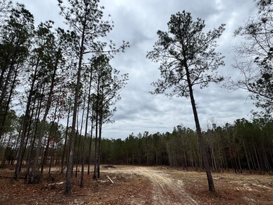 0 Bastonville Rd unit (Tract 14), Gibson, GA 30810 - photo 6