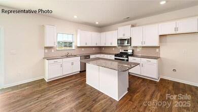 165 Apple Orchard Ct, Statesville, NC 28677 - photo 5