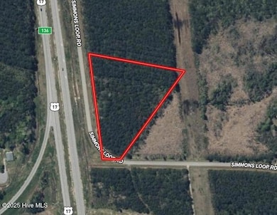 0 U S 17, New Bern, NC 28562 - photo 2