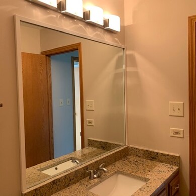 20142 Oregon Trail, Olympia Fields, IL 60461 - photo 2