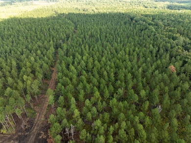 0 Pisgah Rd unit 4, Brandon, MS 39047 - photo 3