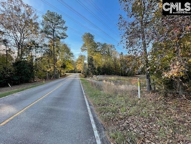 1620 Washington Lever Rd, Little Mountain, SC 29075 - photo 2