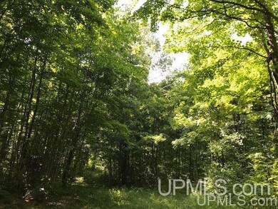 TBD Rock River Rd, Deerton, MI 49822 - photo 7