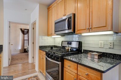 25240 Lake Shore Square unit 204, Chantilly, VA 20152 - photo 7