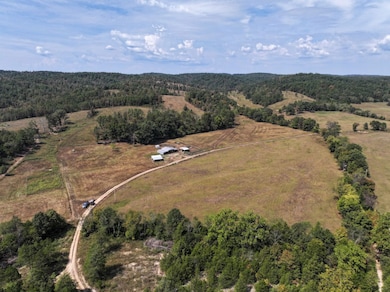 0 County Road 330 unit Lot WP001 24823610, Redford, MO 63665 - photo 6