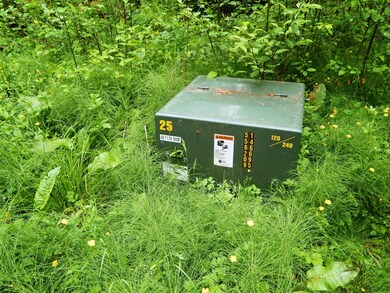 14630 164th Ln SE, Rainier, WA 98576 - photo 4