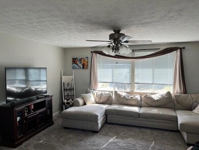 Sunny Living Room