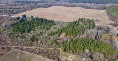 000 S Waller Rd, Bald Knob, AR 72010 - photo 5