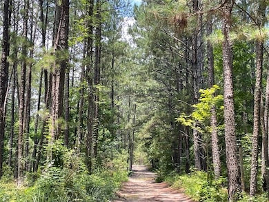 0 Frontier Dr NW unit 7613237, Conyers, GA 30012 - photo 3