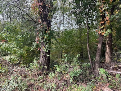 4403 Flint Lake Gateway, Valparaiso, IN 46383 - photo 3