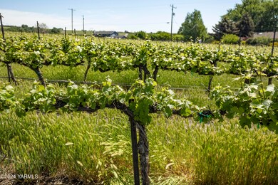 0 Wilson Hwy, Grandview, WA 98930 - photo 4