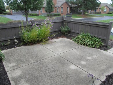 Views from patio