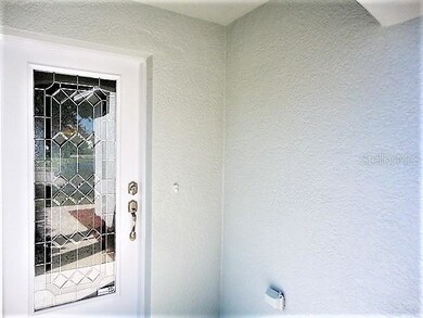 9647 Maxson Dr, Land O Lakes, FL 34638 - photo 2