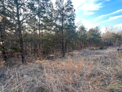 000 Lakebreeze Cir, Theodosia, MO 65761 - photo 6