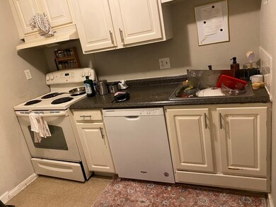 15 Park Vale Ave unit 2B, Allston, MA 02134 - photo 3