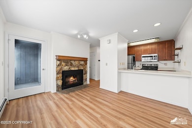 Living Area/Fireplace/Patio
