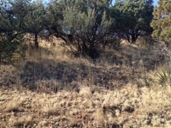 xx Arrowhead Rd, Silver City, NM 88061 - photo 6