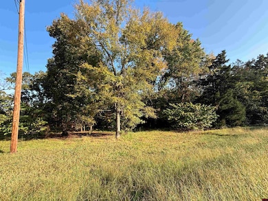 004-00426-001 Harding Blvd, Cotter, AR 72626 - photo 2