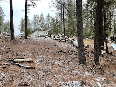 1877 Immel Rd, Chewelah, WA 99109 - photo 3