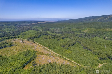 0 Walberg Rd unit NWM2397686, Chinook, WA 98614 - photo 5