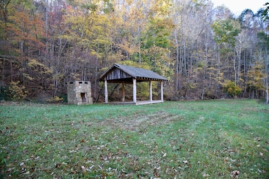 Rock Creek Ridge Rd, Bakersville, NC 28705 - photo 7