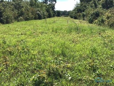 0 Devils Hole Rd unit 6034482, Pemberville, OH 43450 - photo 6