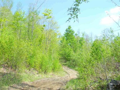 65 Graham St unit M101 L022, Groveton, NH 03582 - photo 7