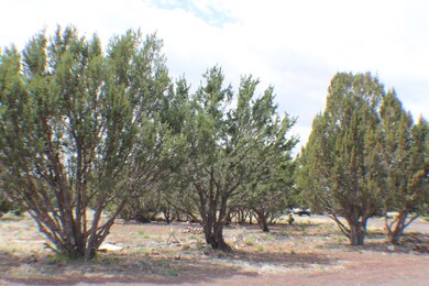 Parcel E Bourdon Ranch Rd, Show Low, AZ 85901 - photo 4