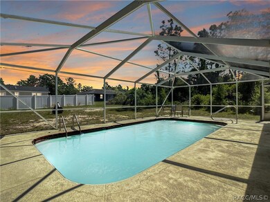 In-ground heated pool with cage