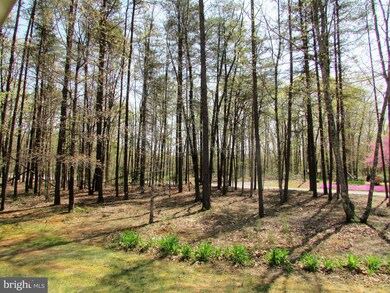 29453 Tatum Rd, Unionville, VA 22567 - photo 4