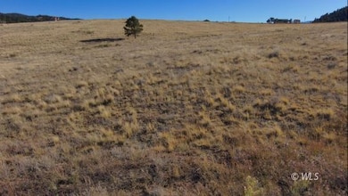 152 Wulsten Way, Westcliffe, CO 81252 - photo 6