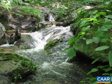 1233 Coffey Hollow Ln, Tyro, VA 22976 - photo 4