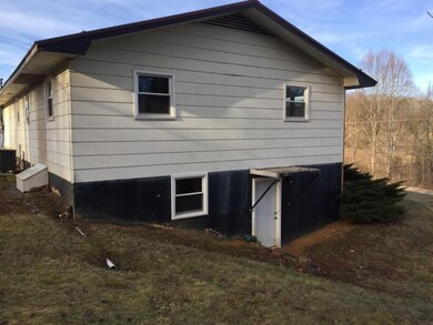 Pedestrian door to basement
