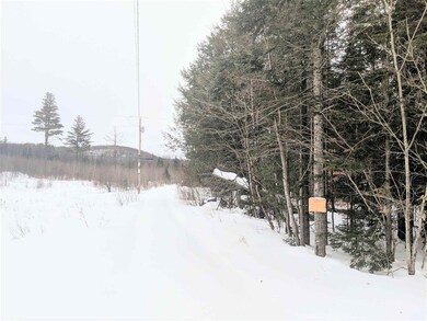 31.5 Ac Cheney Rd, Lowell, VT 05847 - photo 2
