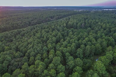 0 E S Sh 155, Frankston, TX 75763 - photo 3