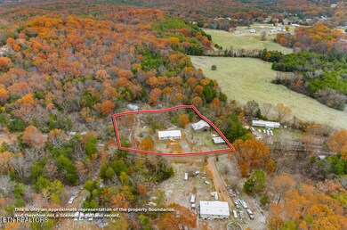 2242 Fortune Rd, Talbott, TN 37877 - photo 5