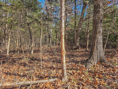 000 County Road 292a, Pittsburg, MO 65724 - photo 4