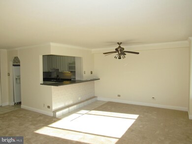 Chatham Condominiums unit 418, Arlington, VA 22203 - photo 4