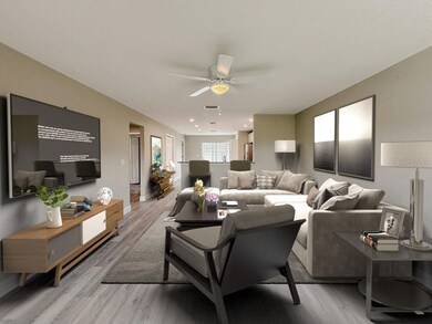 conception staging