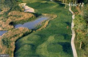 14860 Buckingham Ct, Swan Point, MD 20645 - photo 2