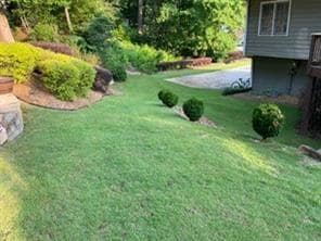 View of grassy yard