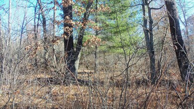 Lot 2 Ferry Rd, Grantsburg Township, WI 54840 - photo 4