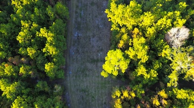 0 Porter Rd, Lake Park, GA 31636 - photo 3