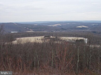 0 E of Wildcat unit 1002314594, Walker Township, PA 18252 - photo 2