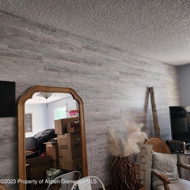 742 Legion St, Craig, CO 81625 - photo 5