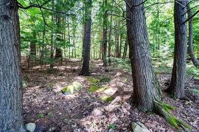 0 Winter Rd, Weare, NH 03281 - photo 6