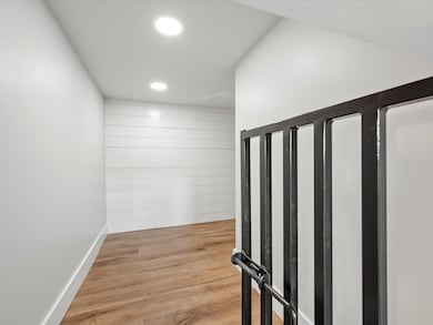 Quite a large room for your pets featuring lights!