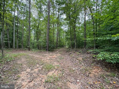 Lot 0110 Mountain Track Rd, Orange, VA 22960 - photo 5