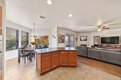 24914 Cooper Valley, San Antonio, TX 78255 - photo 7