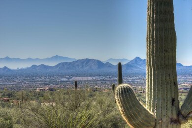 Saguaro and Endless Views